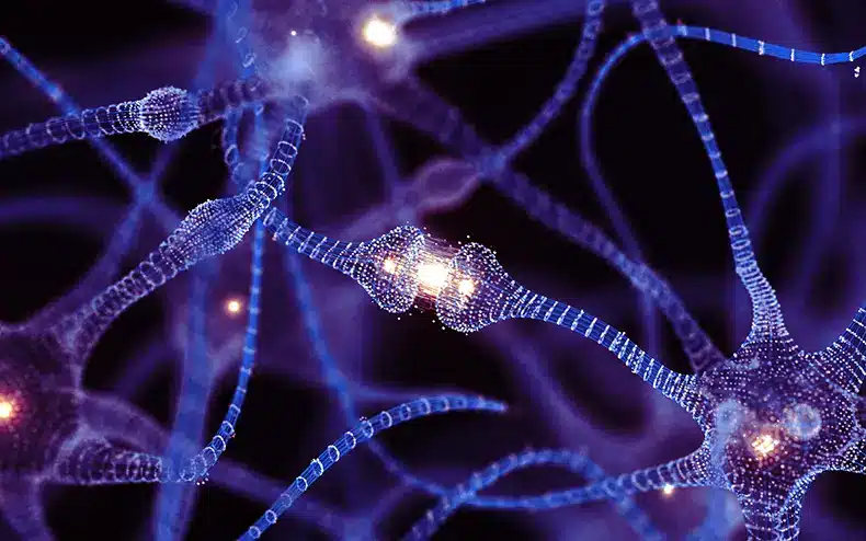 1 min chrono puce dans le cerveau
