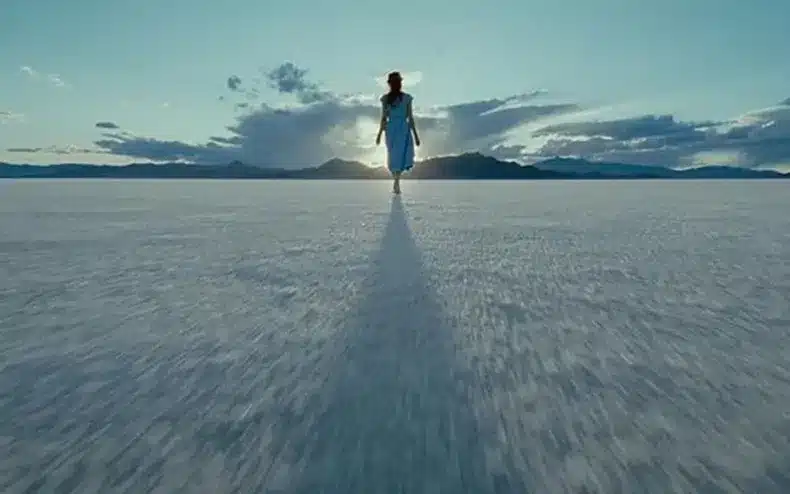 film esthétique contemplative The tree of life