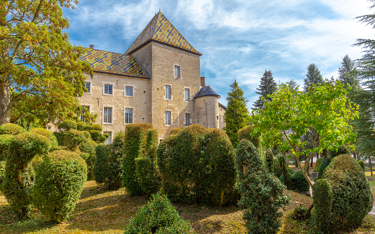 Domaine viticole Château de Santenay