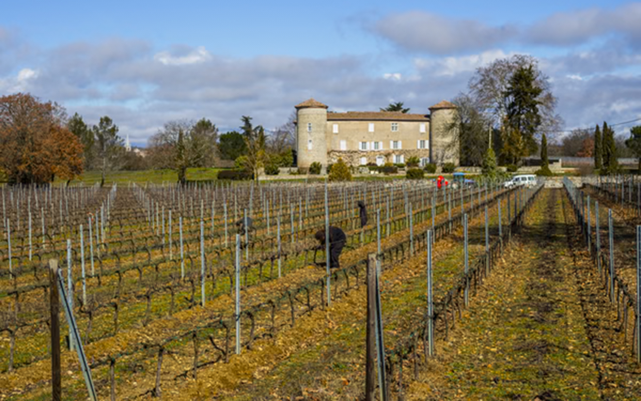 domaine viticole Château de la Selve