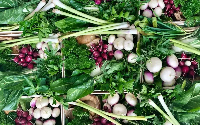 L’Arpège legumes L’Arpège d'Alain Passard legumes